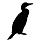 bIGUA