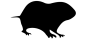 tucu-tucu